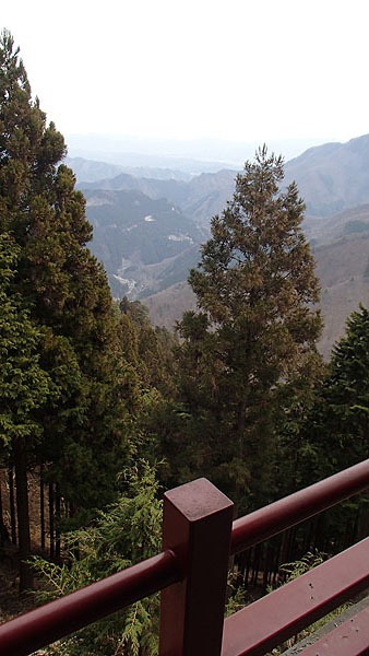 展望台からの景色